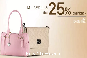 butterfly handbags paytm