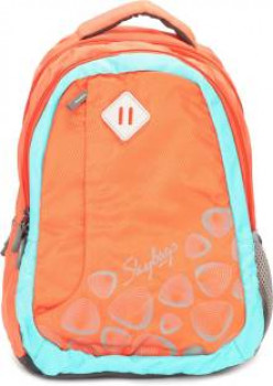 flipkart sale skybags